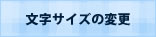 文字サイズの変更