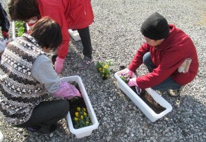 「井尻仮設団地で「花植え」を開催」に関する画像